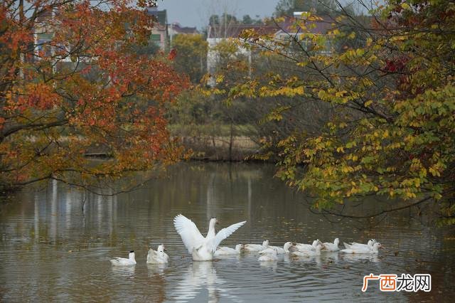 农村创业投资好项目 农村开店 创业有答案