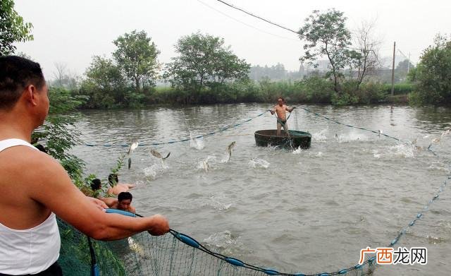 农村创业投资好项目 农村开店 创业有答案