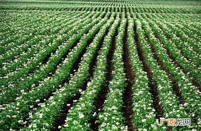 农村创业投资好项目 农村开店 创业有答案