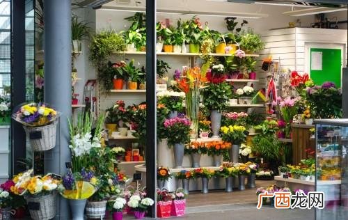 2021年适合没经验女性开的店,2021年适合女性创业项目