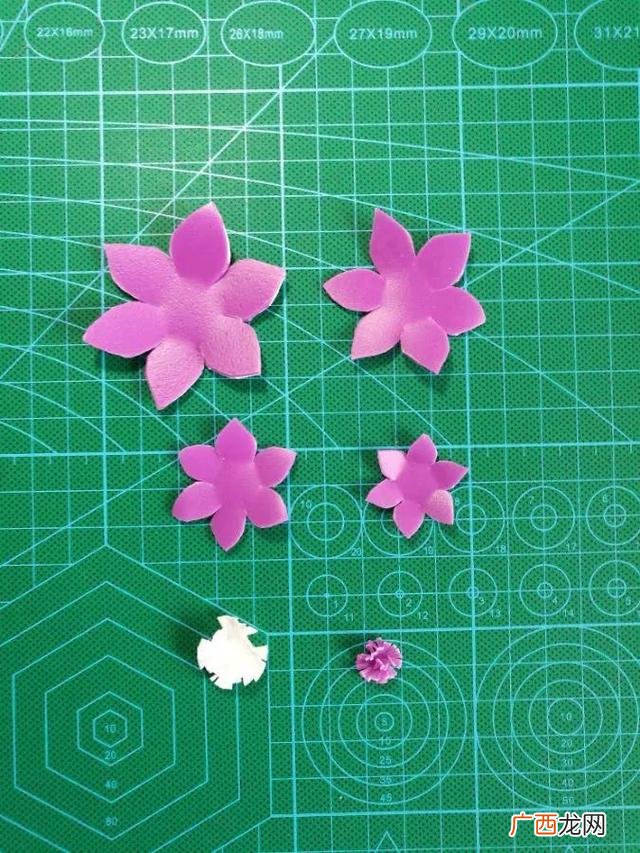 洗衣液瓶子怎么做喷壶,用洗衣液瓶做手工作品