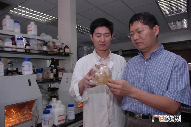 做有机合成的最后出路 有机合成创业