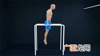 健身图解大全图片,健身动作名称大全动图