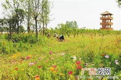 临泉为什么这么穷,临泉创业政策