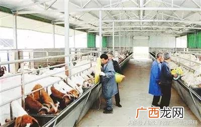 临泉为什么这么穷,临泉创业政策