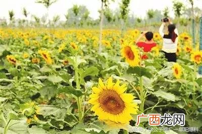 临泉为什么这么穷,临泉创业政策