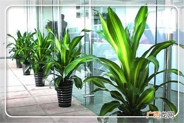 五线城市一个人干的小生意,适合三线城市创业好项目