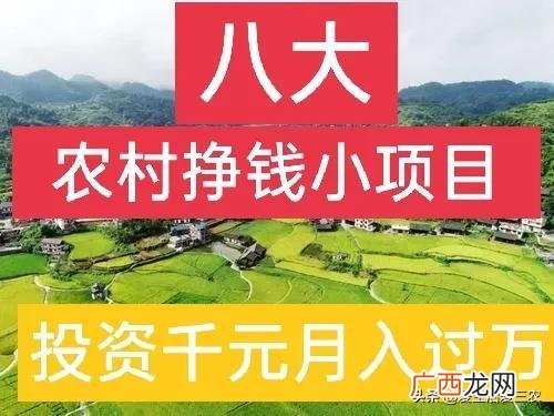 月入2万的10个小生意 在农村开什么店铺赚钱