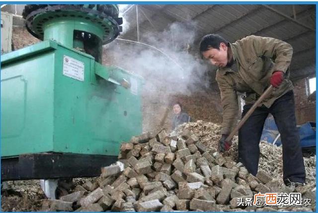 月入2万的10个小生意 在农村开什么店铺赚钱
