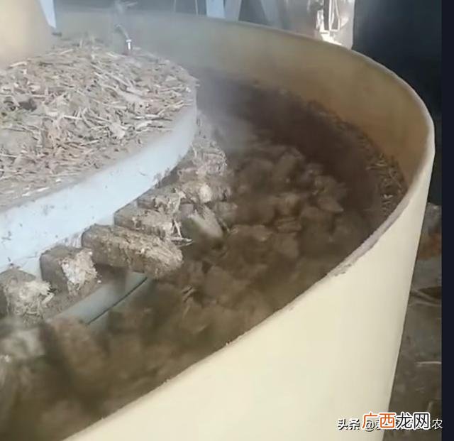 月入2万的10个小生意 在农村开什么店铺赚钱