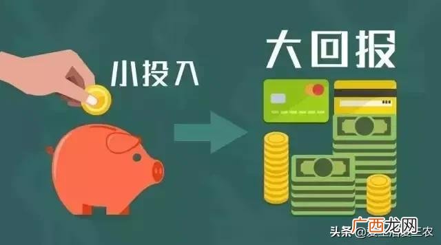 月入2万的10个小生意 在农村开什么店铺赚钱
