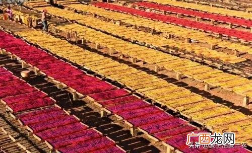 月入2万的10个小生意 在农村开什么店铺赚钱