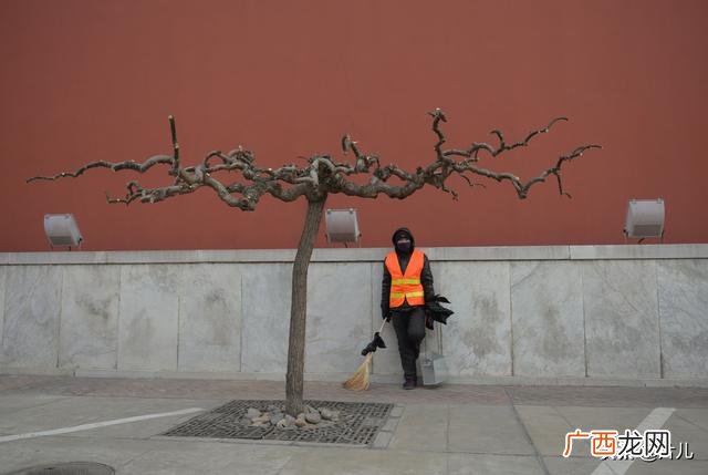 工地招小工260一天 工地做小工怎么样