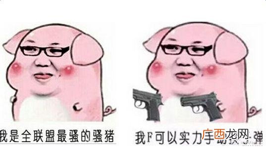 pdd为什么被称为嫖老师 pdd说的张哥是谁