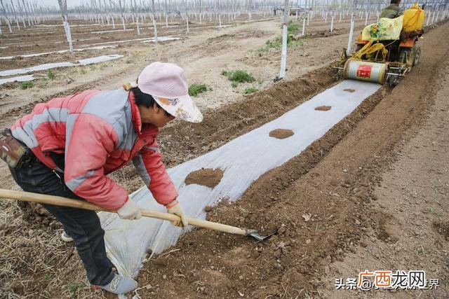 农村三十万创业,农村小伙创业