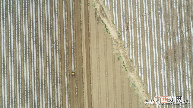 农村三十万创业,农村小伙创业