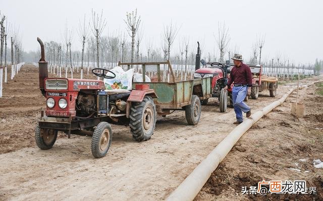 农村三十万创业,农村小伙创业