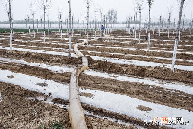 农村三十万创业,农村小伙创业