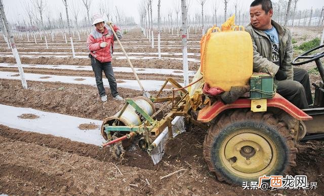 农村三十万创业,农村小伙创业