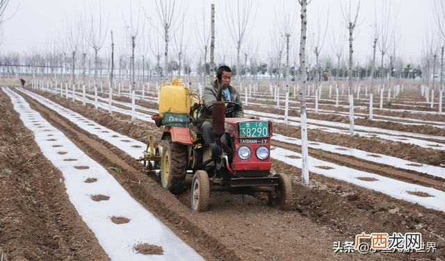 农村三十万创业,农村小伙创业