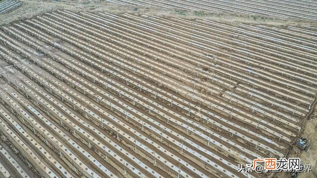 农村三十万创业,农村小伙创业