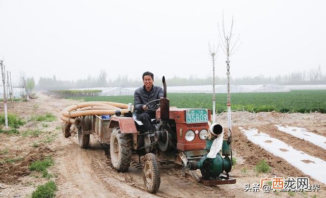 农村三十万创业,农村小伙创业