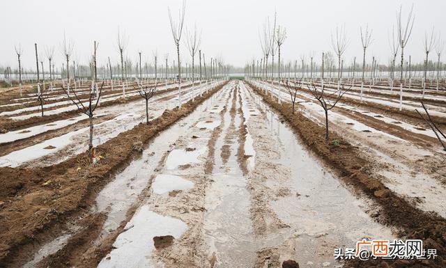 农村三十万创业,农村小伙创业