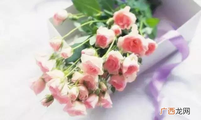 教女人迷惑男人的书,教女人创业的书