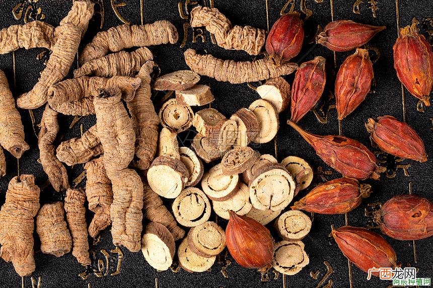 多肉植物栽培答疑