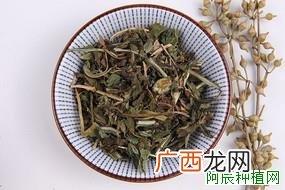 春兰的种植方法