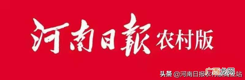 生产加工创业项目 农村创业新闻