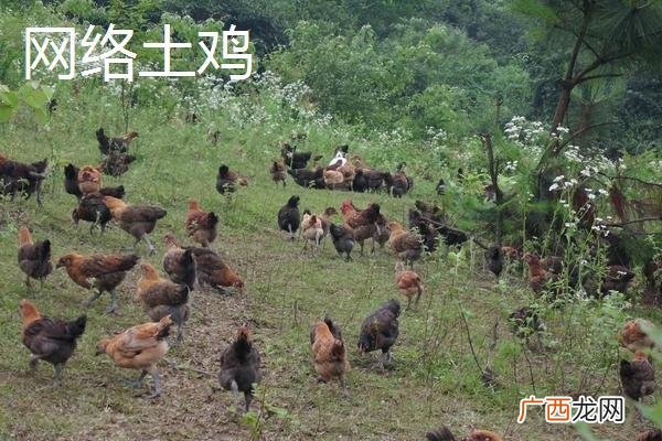 免费创业扶持项目 农村扶贫创业项目大全