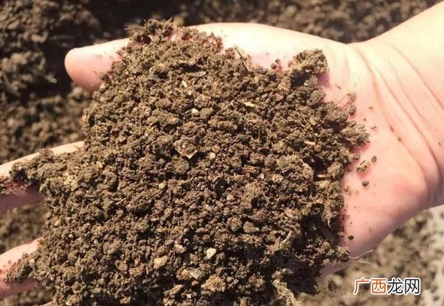 牛粪加工有机肥配方,高原创业牛粪加工