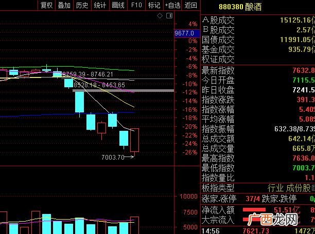 深证100指数有哪些股票,创业板指的是哪些股票