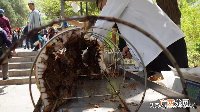 十个创新创业典型案例,创业成功的案例