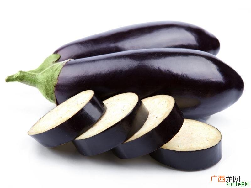 芒果树怎么种植？芒果树盆栽如何种植？种植有技巧