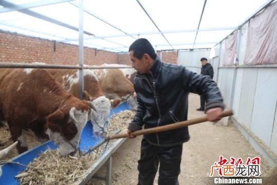 简短的创业事迹简介怎么写,个人养殖创业事迹