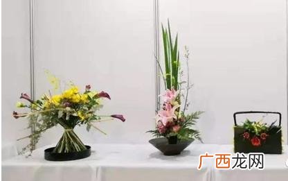 园林工程技术就业前景 园林可以报考一级建造师吗