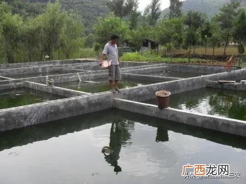 家庭小养殖项目,在家创业养殖有什么好项目