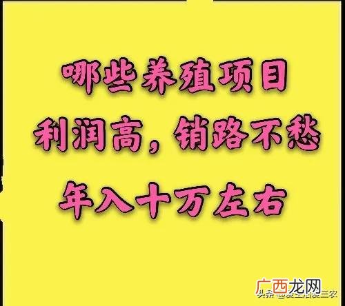 家庭小养殖项目,在家创业养殖有什么好项目