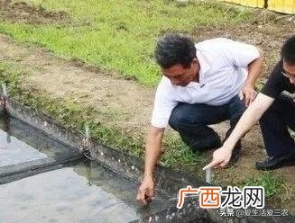 家庭小养殖项目,在家创业养殖有什么好项目