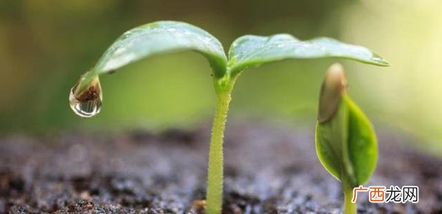 制定个人创业战略的步骤有,机会型创业