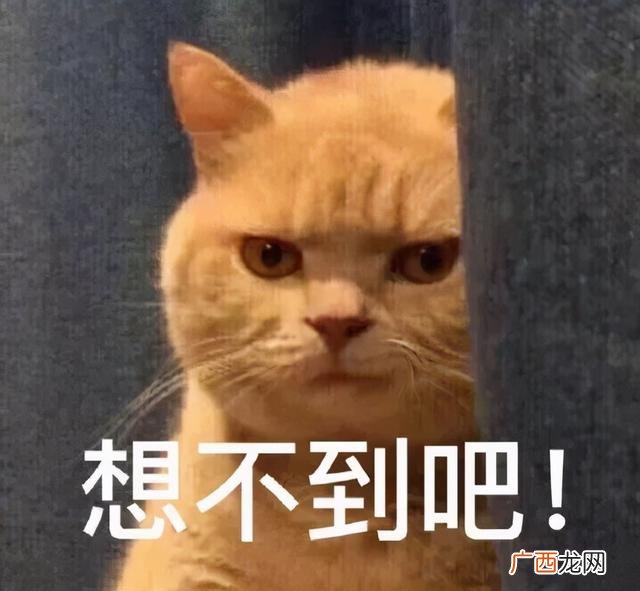 想找份工作可以在家里做,我想找个在家做的活