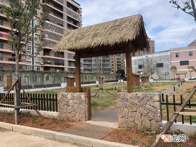 共享菜园新模式 共享菜地怎么开发