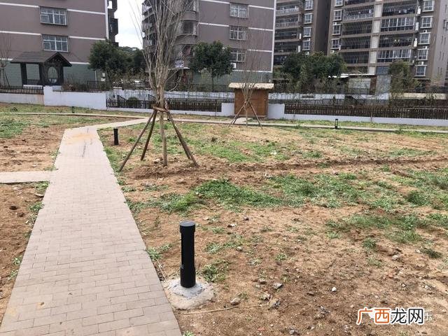 共享菜园新模式 共享菜地怎么开发