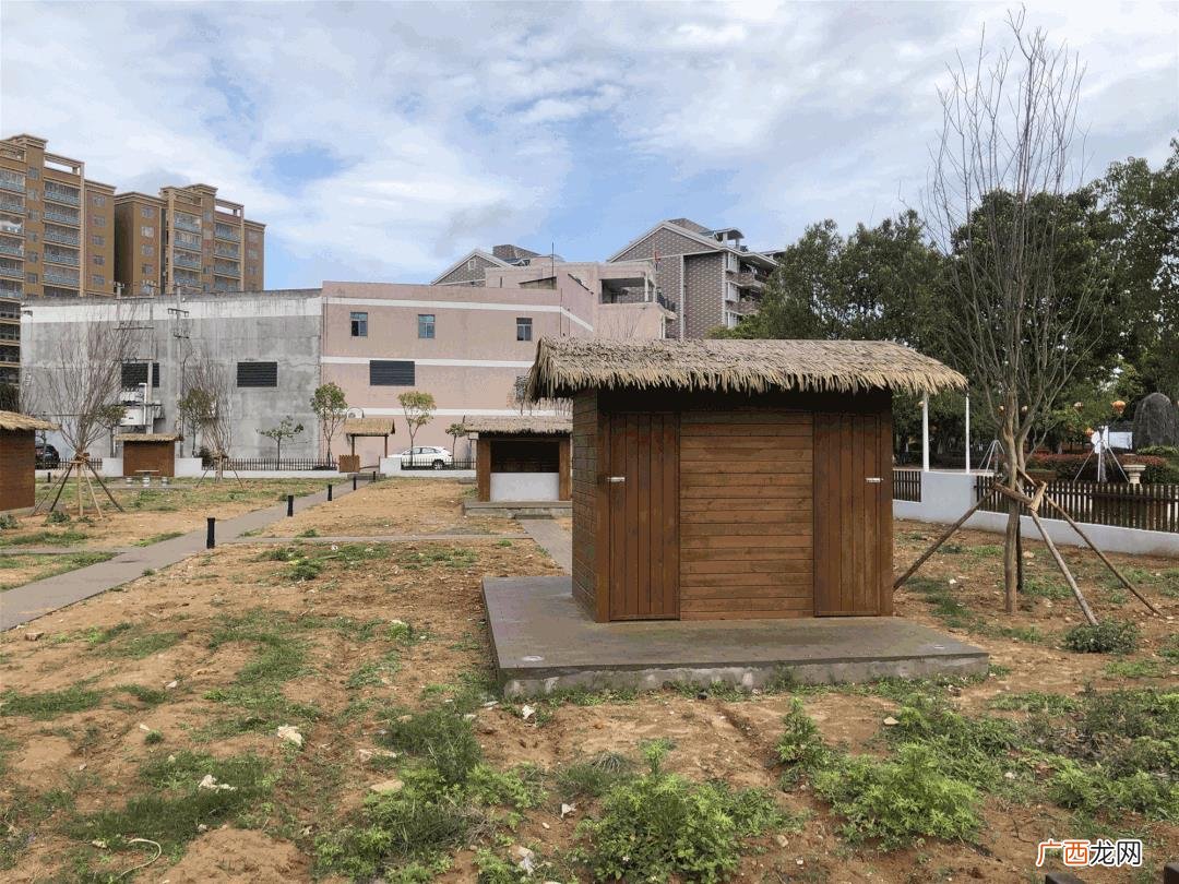 共享菜园新模式 共享菜地怎么开发