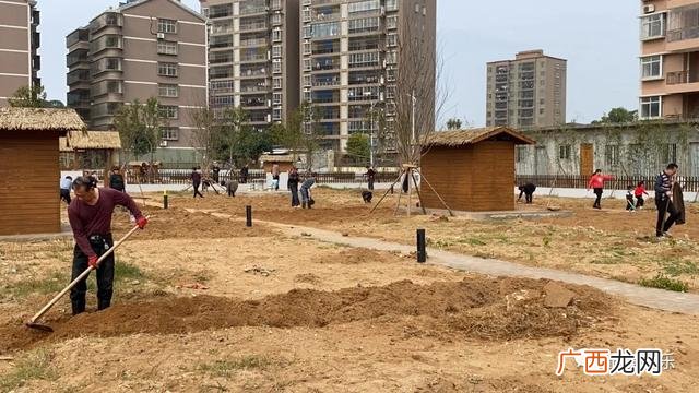 共享菜园新模式 共享菜地怎么开发