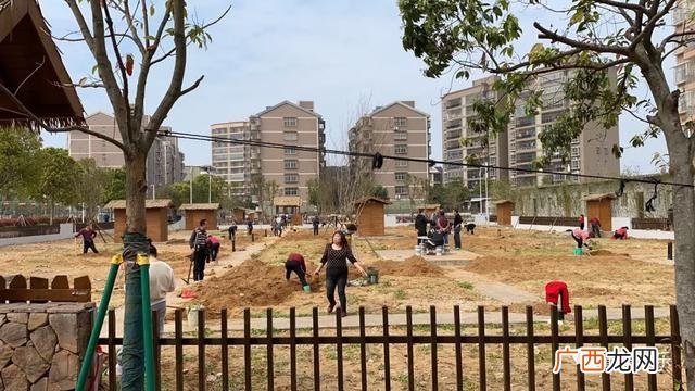 共享菜园新模式 共享菜地怎么开发