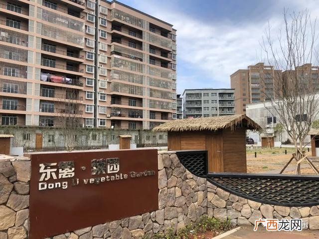 共享菜园新模式 共享菜地怎么开发