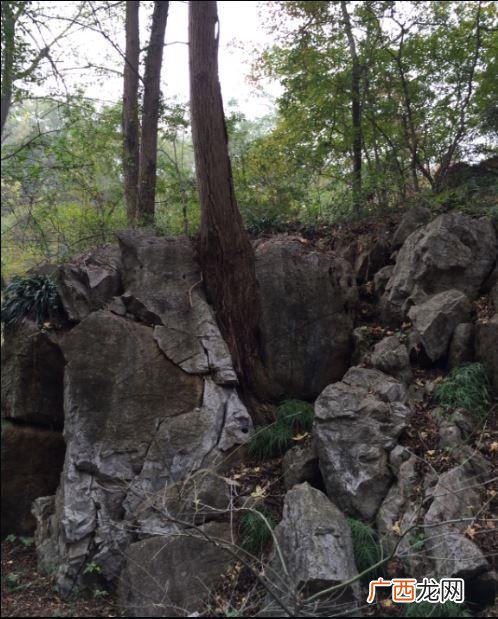 感慨创业艰难诗句 创业难的诗词